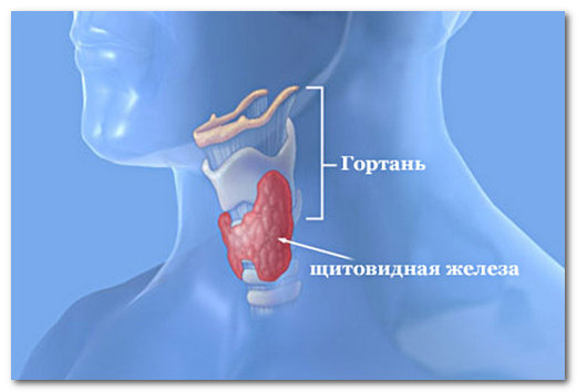 гормоны щитовидной