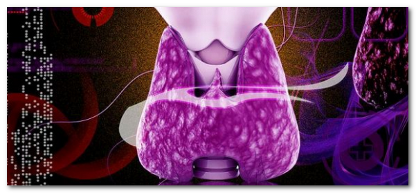 основные гормоны щитовидной железы
